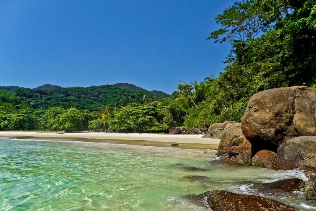 Lopes Mendes