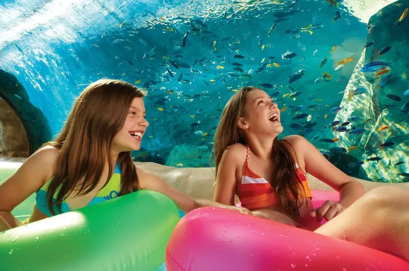 Loggerhead Lane no Parque Aquatica Loggerhead Lane no Parque Aquatica