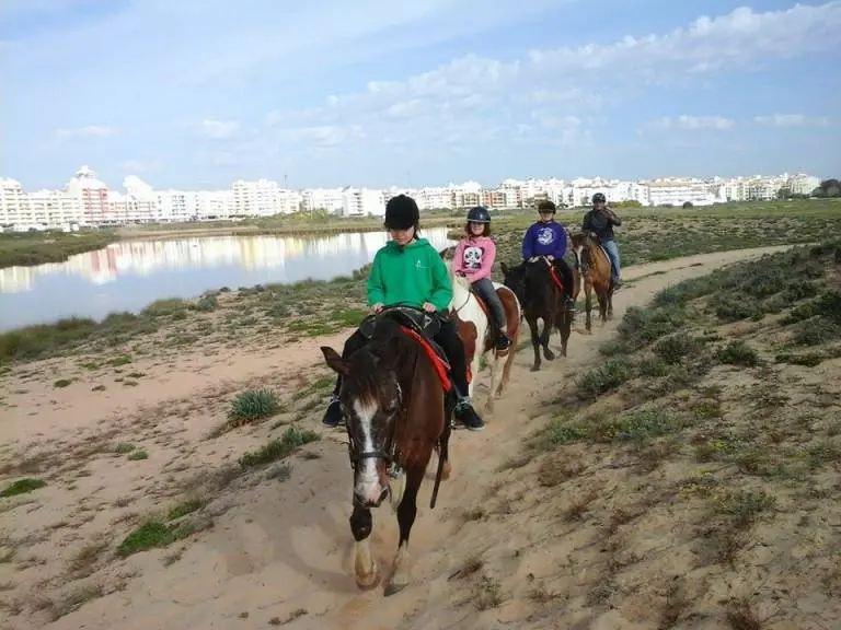 Passeio de charrete e cavalo nos Salgados Passeio de charrete e cavalo nos Salgados