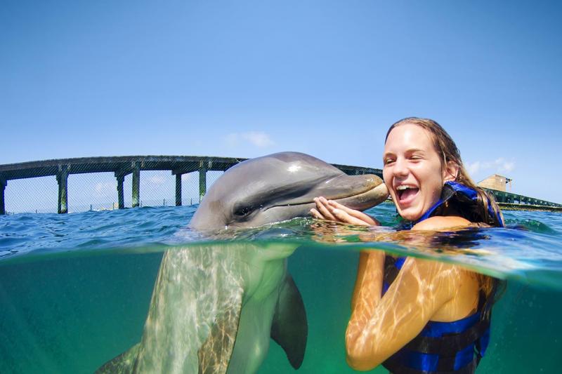 Turista recebendo beijo de golfinho Turista recebendo beijo de golfinho