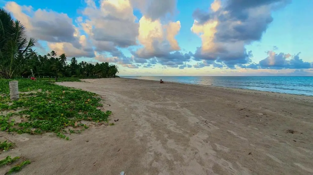 Praia do Xaréu em Maragogi Praia do Xaréu em Maragogi